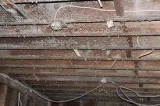 Mold Removal Near Floyd-allmoldsolutio ns