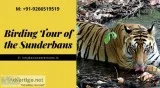 bird watching tour india