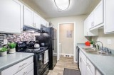 TWO BEDROOM TWO BATHROOM AVAILABLE IN MAY