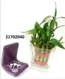 Contemporary Terracotta Mobile Holder Corporate Gifts using rive
