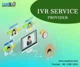 ivr service provider