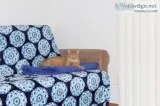 Free declawed orange tabby