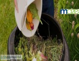 Make Healthy Compost Using Our Composting Tips