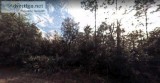 1.24 Acres for Sale in Georgetown FL