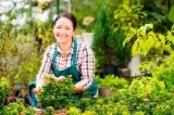 Lawn Mowing Business in Perth - Malaga Gardening and Mowing