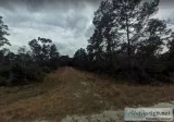 6 Lots for Sale in Avon Park FL