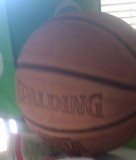 Spalding Basketball Brand NEW JUST 20