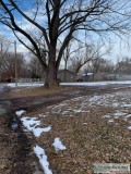 2 Vacant lot Package