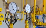Affordable Gas Regulator  Niche Gas Products