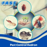 Pest Control Kedron