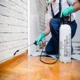Pest Control Services in Grants Pass or  Safe Termite and Pest C
