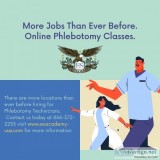 More Jobs Than Ever Before - Online Phlebotomy Classes