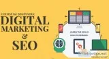 SEO Training in Noida