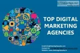 Digital Marketing Agency in Delhi  Digital Marketing Services