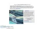 Lakewood Pool Tile Cleaning