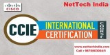Get CCIE Training in Mumbai and Thane
