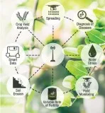 Sweetly Stevia Granulated Stevia 1000 Pack