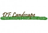Drought Tolerant Landscaping  Laguna Niguel