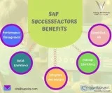 Sap Successfactor Online Training  Success Factors Training in H