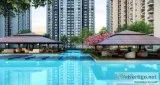 Home Sweet Home offer Valid  Ace Divino 3 BHK  8750488588
