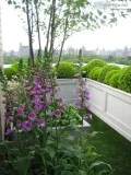 Garden care