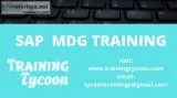 SAP MDG Training  SAP Master Data Governance Online Training