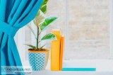 Best Curtain Cleaning in Brisbane