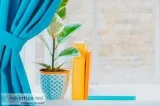 Best Curtain Cleaning in Brisbane
