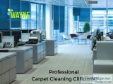 Professional Carpet Cleaning Services in Clifton NJ
