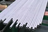 Stainless Steel 310H Seamless Tubes
