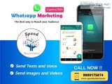 WhatsApp Marketing Services in Hyderabad and Vijayawada