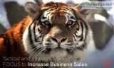SEO Services Company Pittsburgh