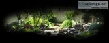 Get best Landscape Installation Service in Bonita Springs -Progr