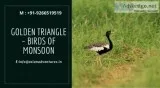 Golden Triangle &ndash Birds Of Monsoon