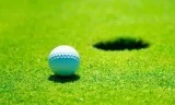 Artificial Grass suppliers in Delhi
