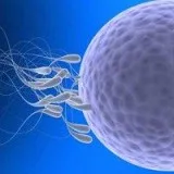 IVF Centre in Delhi Best IVF Center in Delhi