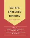 SAP BPC Embedded Training