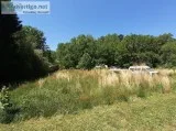 Tear Down with 2.2 acre lot