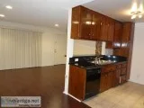 12021 Burbank Blvd 111