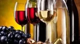 Wine of The Month Club