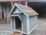 new dog houses