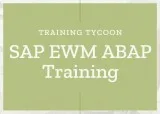 SAP EWM ABAP Training