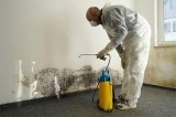 Mold Removal Specialists in Fort Myers and Cape Coral.