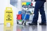 Looking Carpet Cleaning in Central Business District