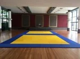 Need of Judo Mats Supplier in India