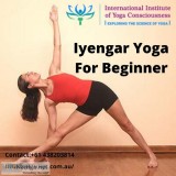 Siddha Yoga Meditation Hatha Yoga