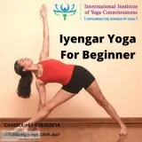 Siddha Yoga Meditation Hatha Yoga