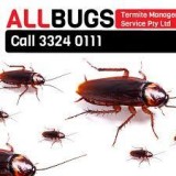 Contact a renowned Cockroach Control Company for cockroach contr