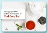 Get Earl Grey Tea in the USA and Cherish the Mellow Taste