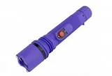 Flash light stun gun